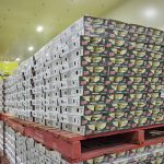 Our APCO Annual Report and Action Plan